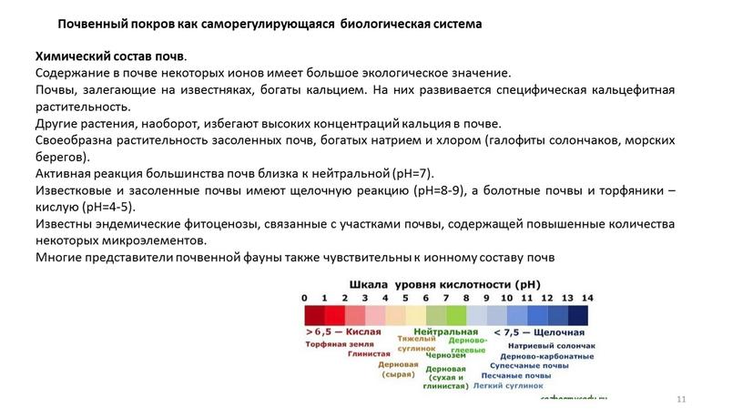 Почвенный покров как саморегулирующаяся биологическая система