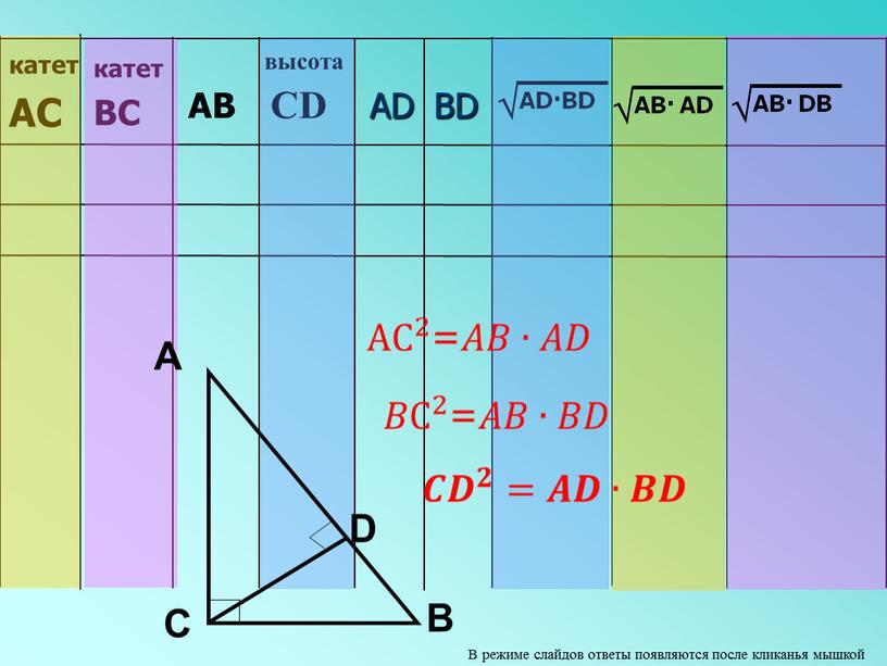 BD AD СD высота АВ катет ВС катет