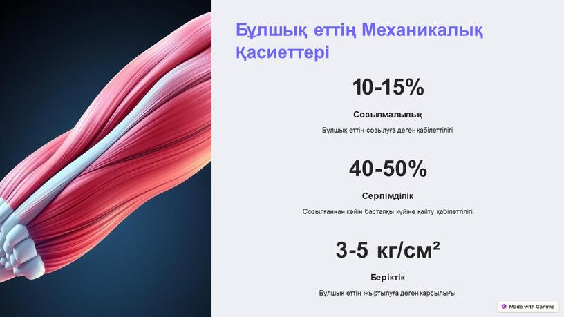 Бұлшық еттің Механикалық Қасиеттері 10-15%