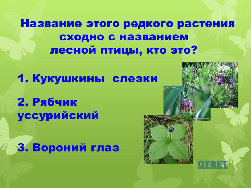 Название этого редкого растения сходно с названием лесной птицы, кто это?