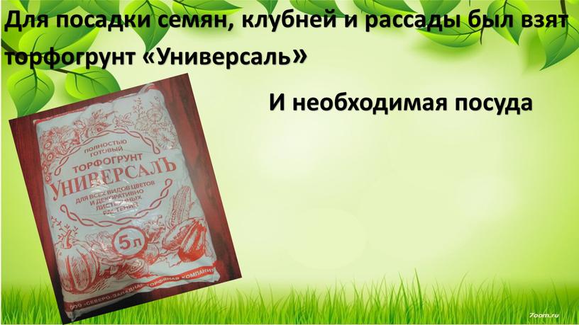 Для посадки семян, клубней и рассады был взят торфогрунт «Универсаль»