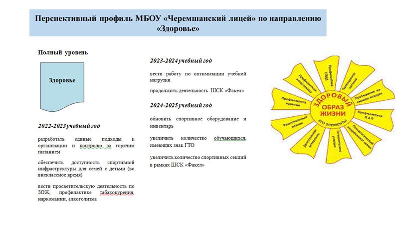 Перспективный профиль МБОУ «Черемшанский лицей» по направлению «Здоровье»