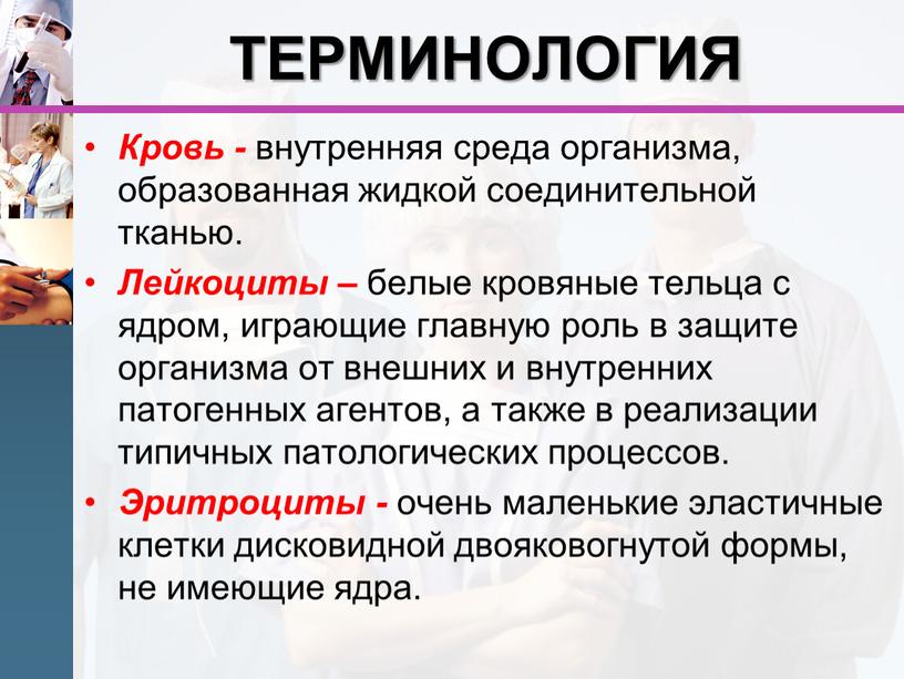 ТЕРМИНОЛОГИЯ Кровь - внутренняя среда организма, образованная жидкой соединительной тканью