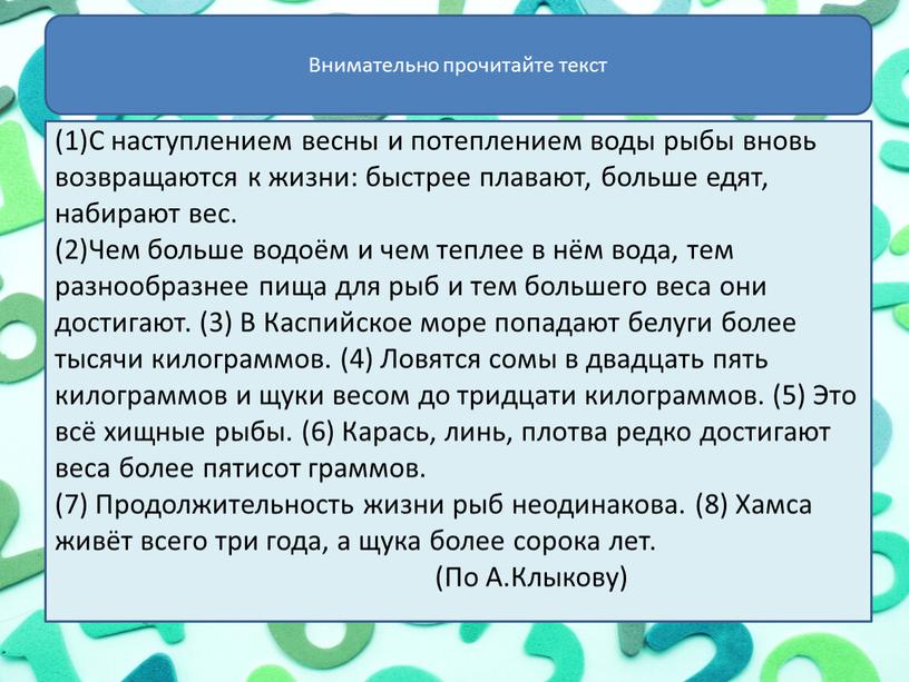 С наступлением весны и потеплением воды рыбы вновь возвращаются к жизни: быстрее плавают, больше едят, набирают вес