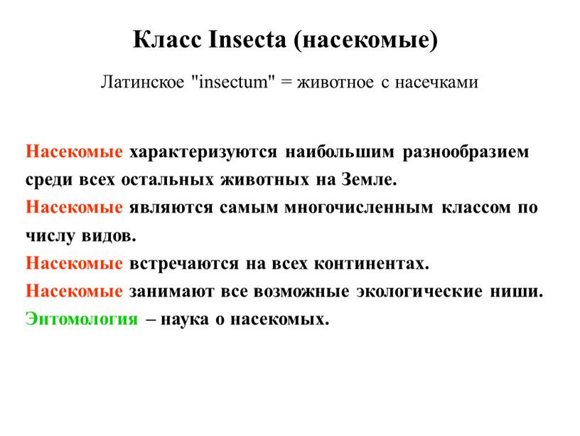 Насекомые характеризуются наибольшим разнообразием среди всех остальных животных на