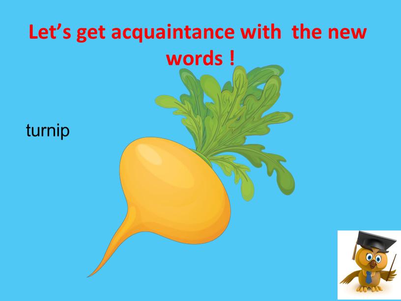 Let’s get acquaintance with the new words ! turnip