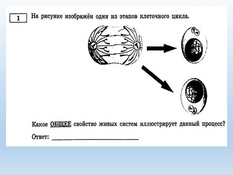 Разбор заданий №1 ОГЭ биология из сборника В.С.Рохлова