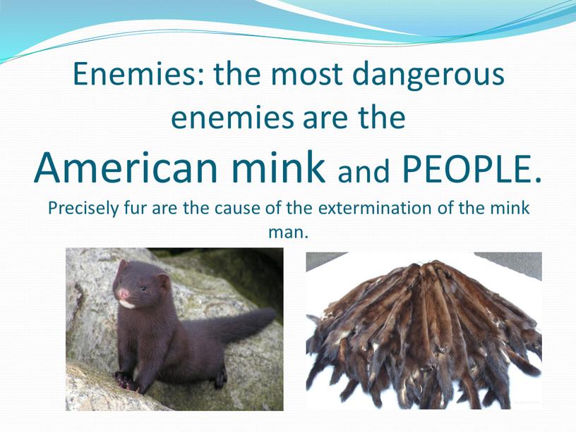 Enemies: the most dangerous enemies are the