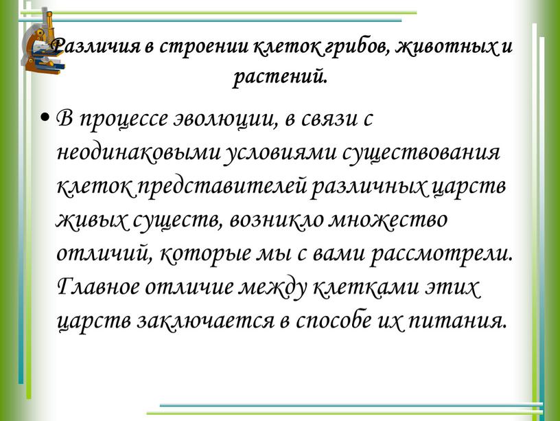 Различия в строении клеток грибов, животных и растений