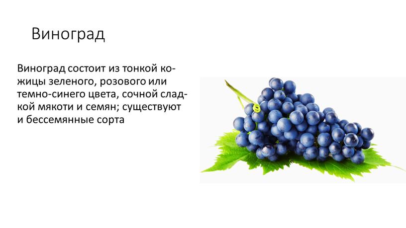 Виноград Ви­ног­рад сос­то­ит из тон­кой ко­жицы зе­лено­го, ро­зово­го или тем­но-си­него цве­та, соч­ной слад­кой мя­коти и се­мян; су­щес­тву­ют и бес­се­мян­ные сор­та