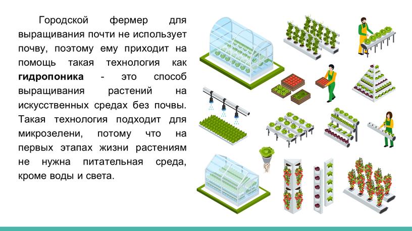 Городской фермер для выращивания почти не использует почву, поэтому ему приходит на помощь такая технология как гидропоника - это способ выращивания растений на искусственных средах…