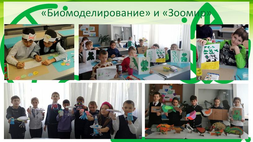 «Биомоделирование» и «Зоомир»