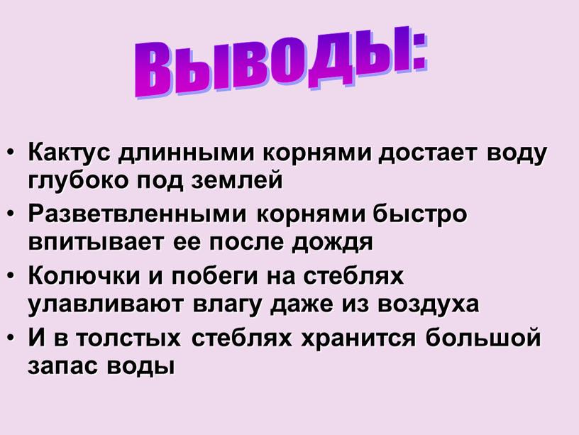 Кактус длинными корнями достает воду глубоко под землей