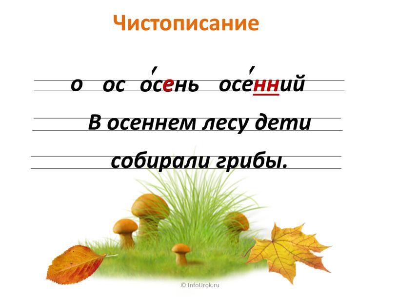 Чистописание © InfoUrok.ru о оc осень осенний е нн