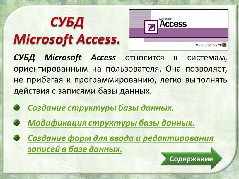 СУБД Microsoft Access. СУБД Microsoft