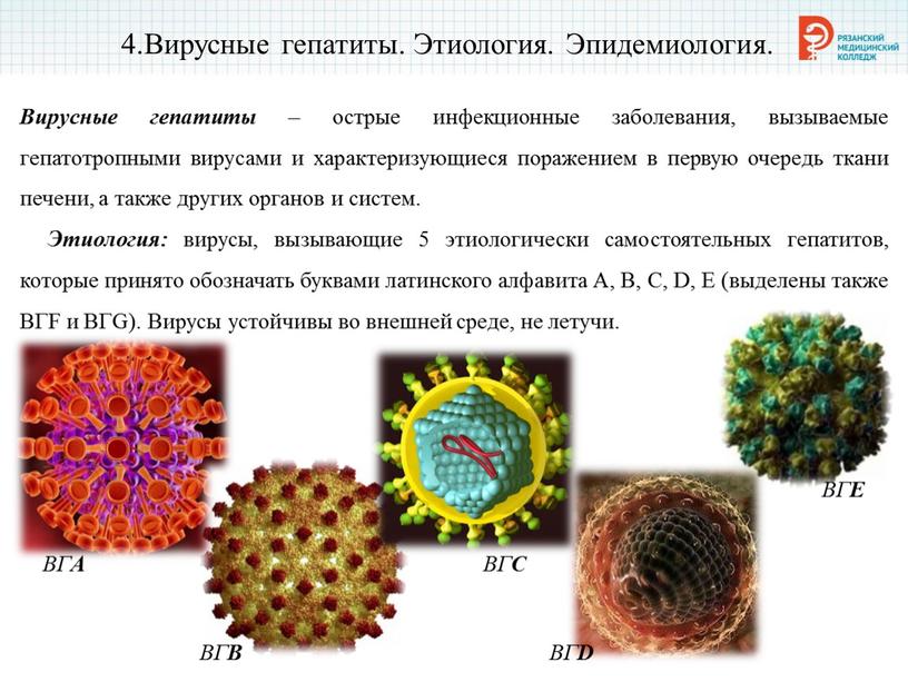 Вирусные гепатиты. Этиология. Эпидемиология