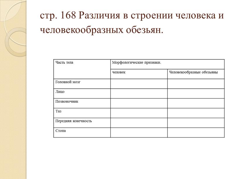 Различия в строении человека и человекообразных обезьян