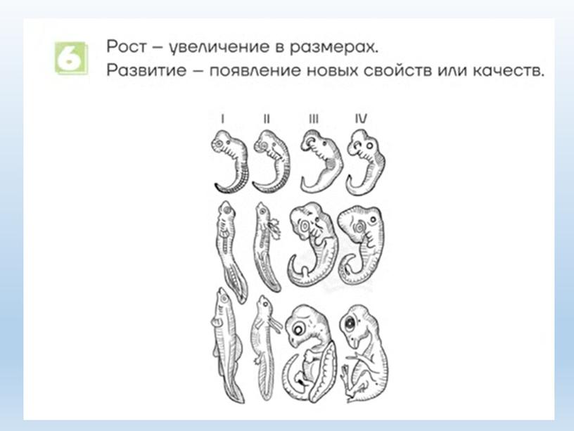 Разбор заданий №1 ОГЭ биология из сборника В.С.Рохлова