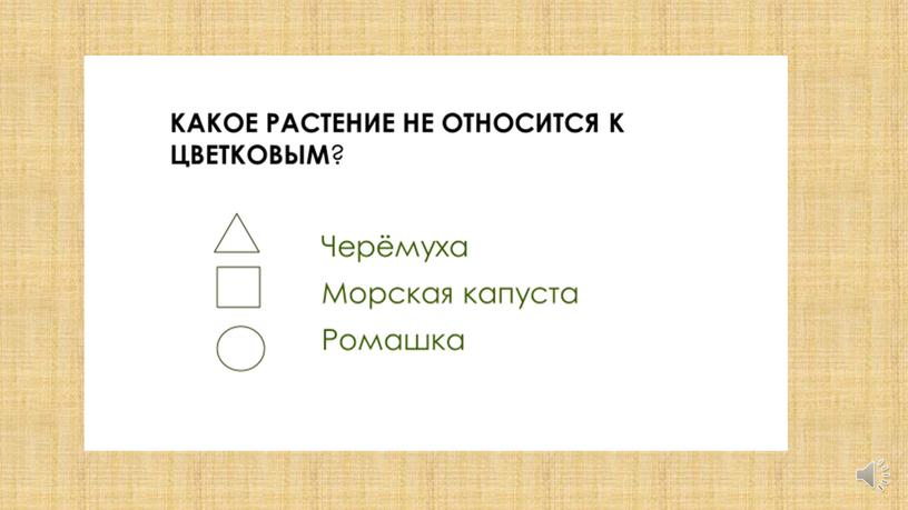 Презентация на тему Контроль и оценка на уроках окружающего мира