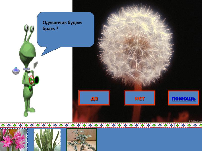 да нет помощь Одуванчик будем брать ?