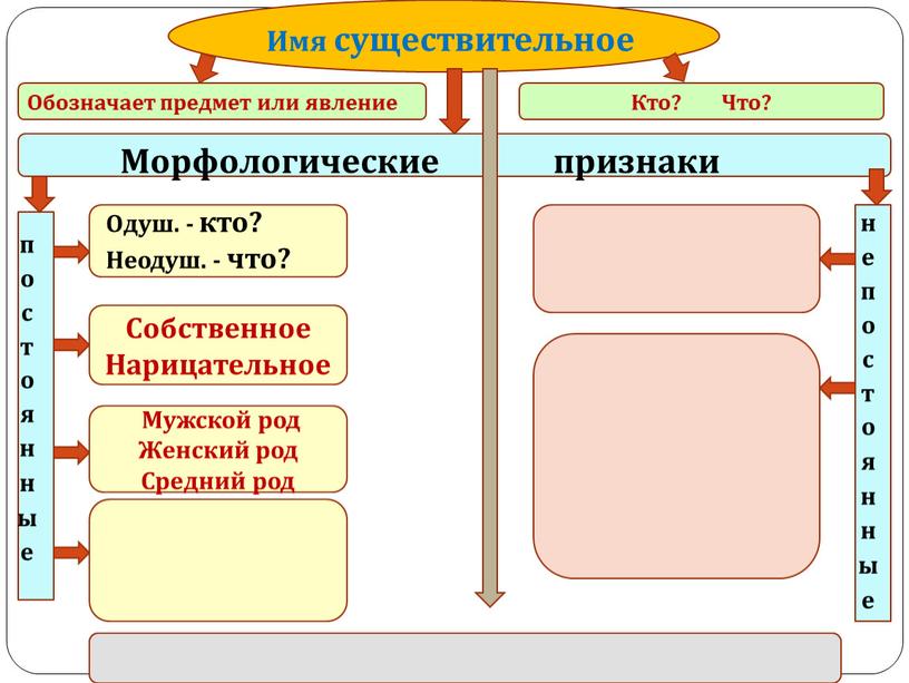 Имя существительное Собственное