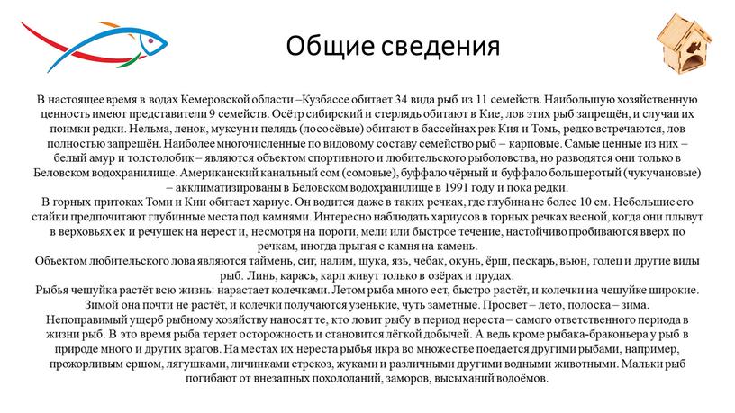 Общие сведения В настоящее время в водах