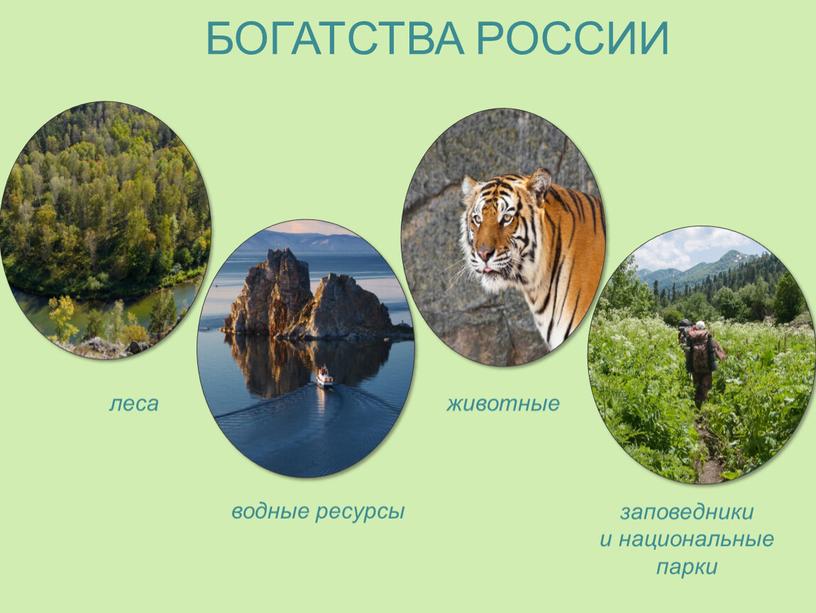 БОГАТСТВА РОССИИ животные водные ресурсы леса заповедники и национальные парки