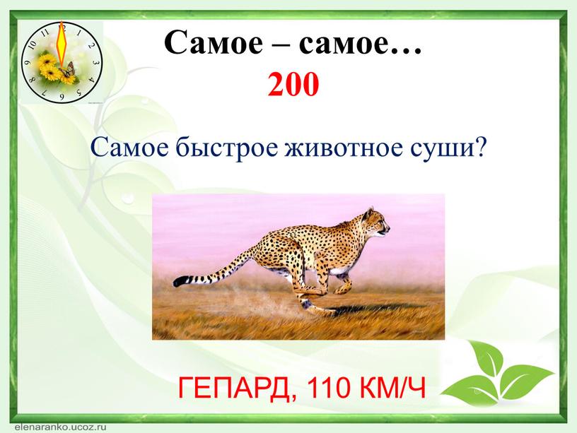 Какая нить в природе самая тонкая. Смотреть фото Какая нить в природе самая тонкая. Смотреть картинку Какая нить в природе самая тонкая. Картинка про Какая нить в природе самая тонкая. Фото Какая нить в природе самая тонкая