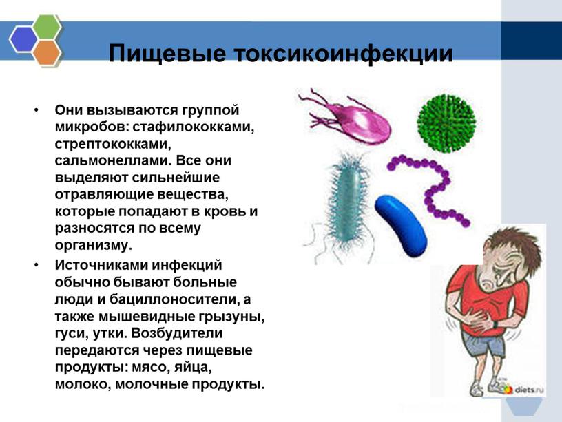 Пищевые токсикоинфекции Они вызываются группой микробов: стафилококками, стрептококками, сальмонеллами