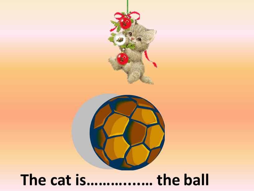 above The cat is………....… the ball