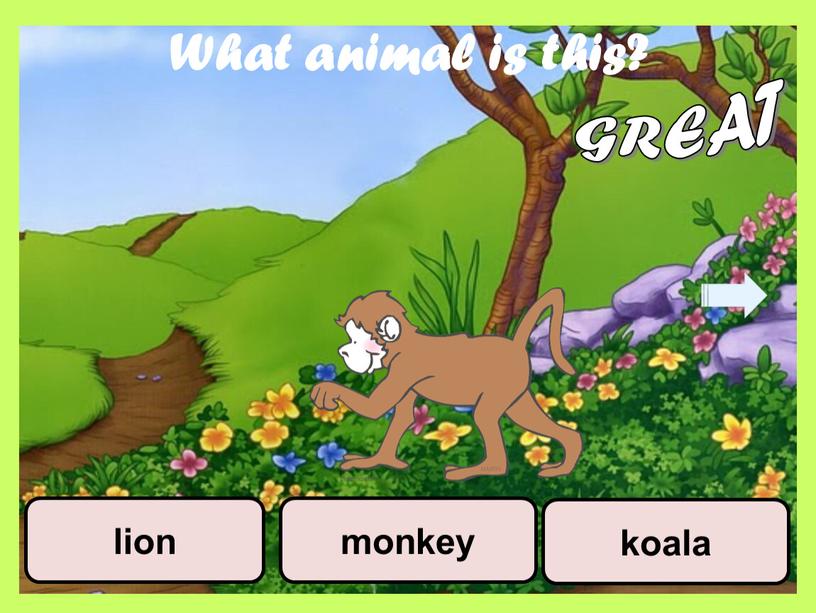 What animal is this? koala monkey lion