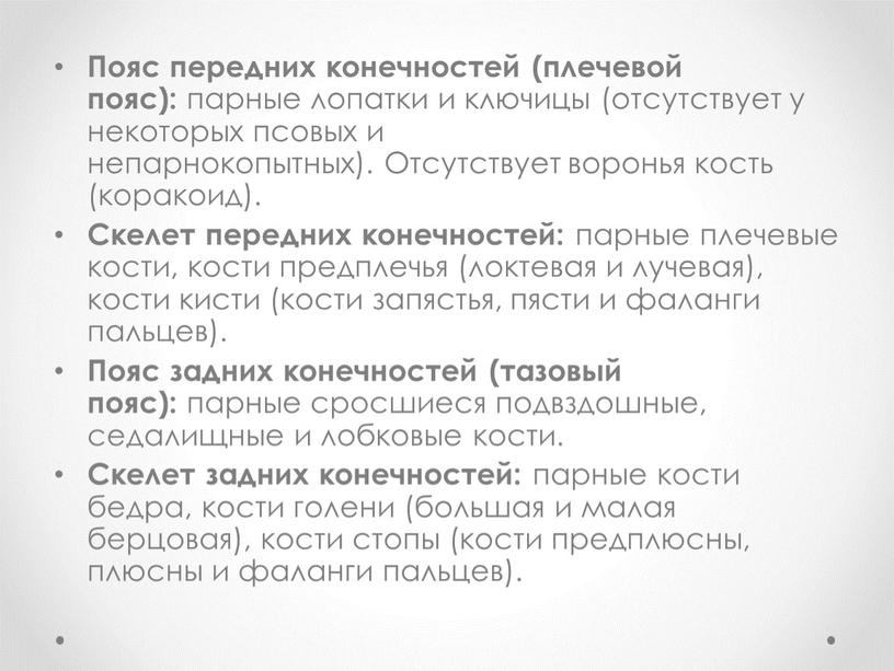 Пояс передних конечностей (плечевой пояс): парные лопатки и ключицы (отсутствует у некоторых псовых и непарнокопытных)