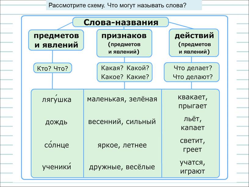 Рассмотрите схему. Что могут называть слова?