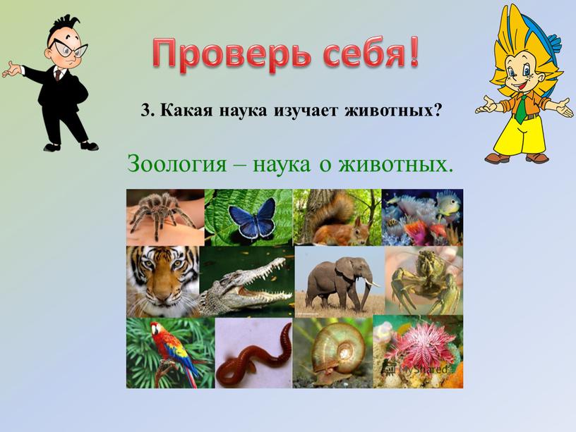 Проверь себя! 3. Какая наука изучает животных?