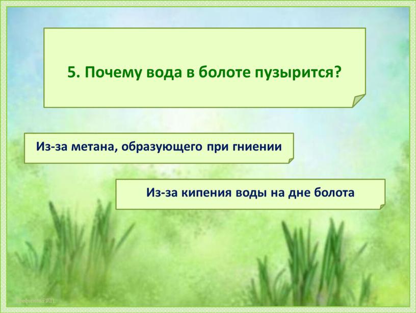 Почему вода в болоте пузырится?