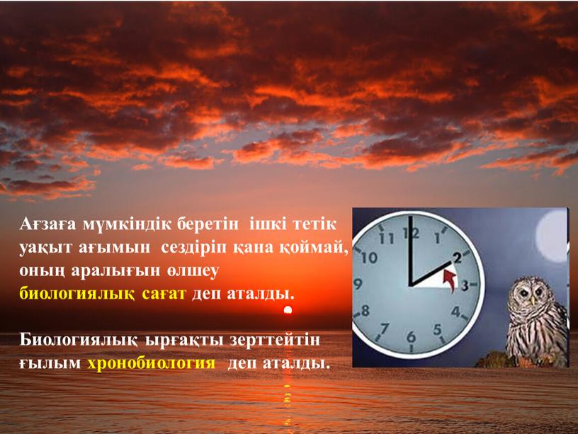 Ағзаға мүмкіндік беретін ішкі тетік уақыт ағымын сездіріп қана қоймай, оның аралығын өлшеу биологиялық сағат деп аталды