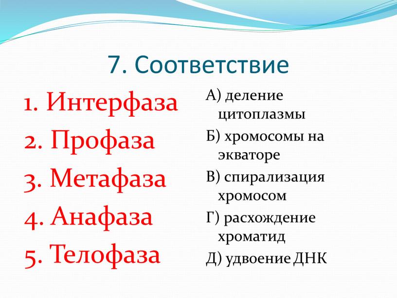 Соответствие 1. Интерфаза 2.