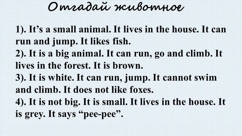 Отгадай животное 1). It’s a small animal