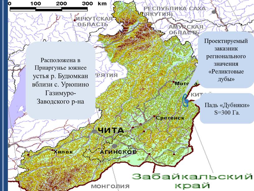 Падь «Дубняки» S=300 Га. Проектируемый заказник регионального значения «Реликтовые дубы»