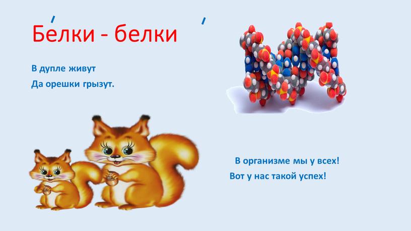 Белки - белки В дупле живут