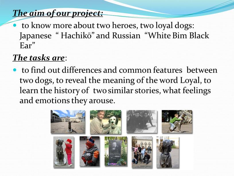 The aim of our project: to know more about two heroes, two loyal dogs: