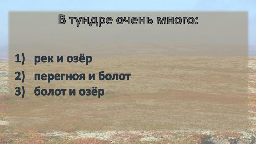 В тундре очень много: рек и озёр перегноя и болот болот и озёр