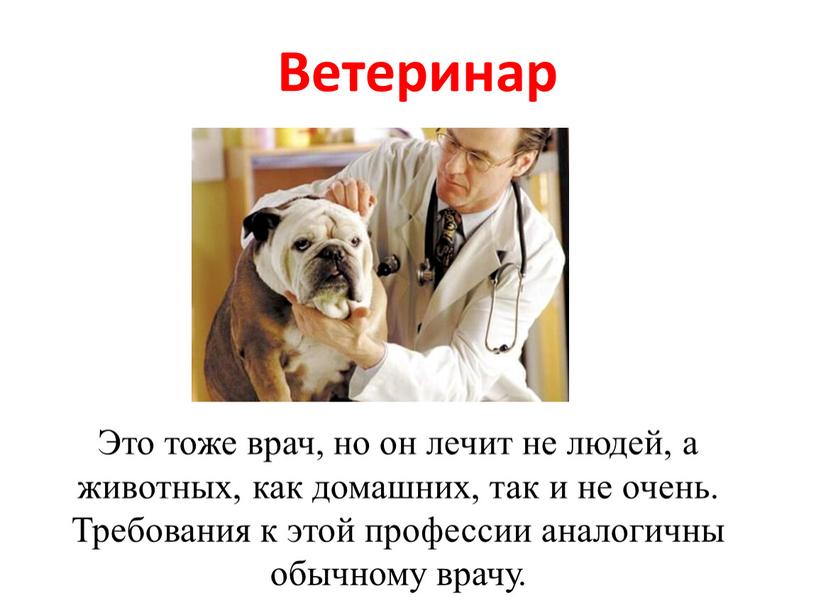Ветеринар Это тоже врач, но он лечит не людей, а животных, как домашних, так и не очень