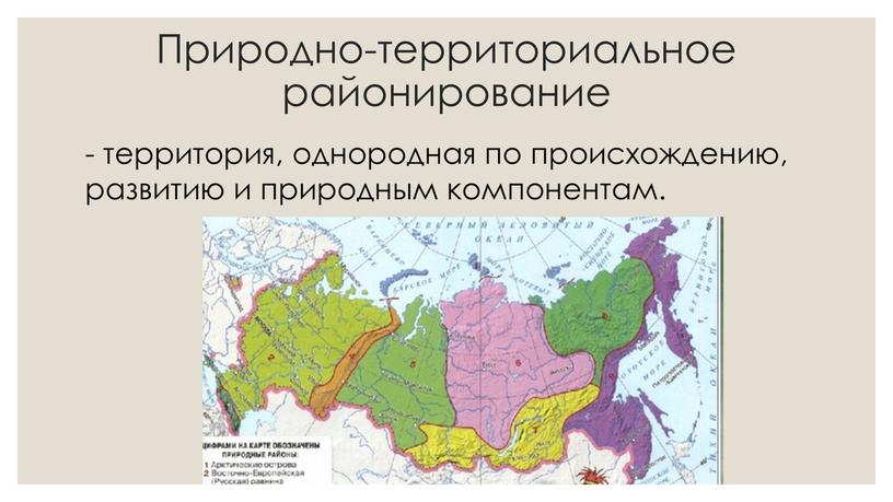 Природно-территориальное районирование - территория, однородная по происхождению, развитию и природным компонентам