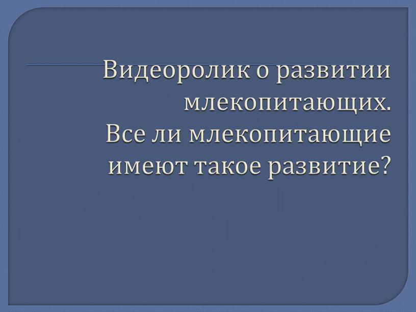 Видеоролик о развитии млекопитающих