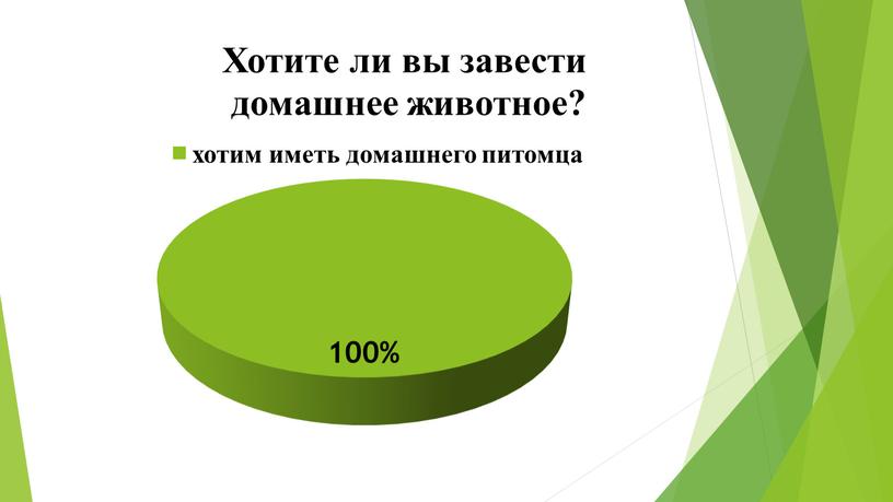 Презентация исследовательской работы "Моя ахатинская улитка Уля"