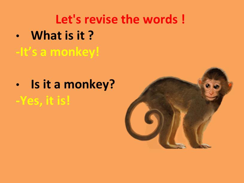 Let's revise the words ! What is it ? -It’s a monkey!