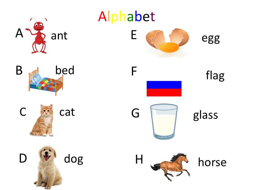 Alphabet A ant B bed C cat D dog