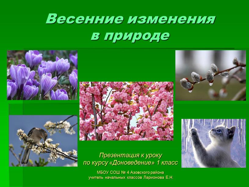 Весенние изменения в природе Презентация к уроку по курсу «Доноведение» 1 класс