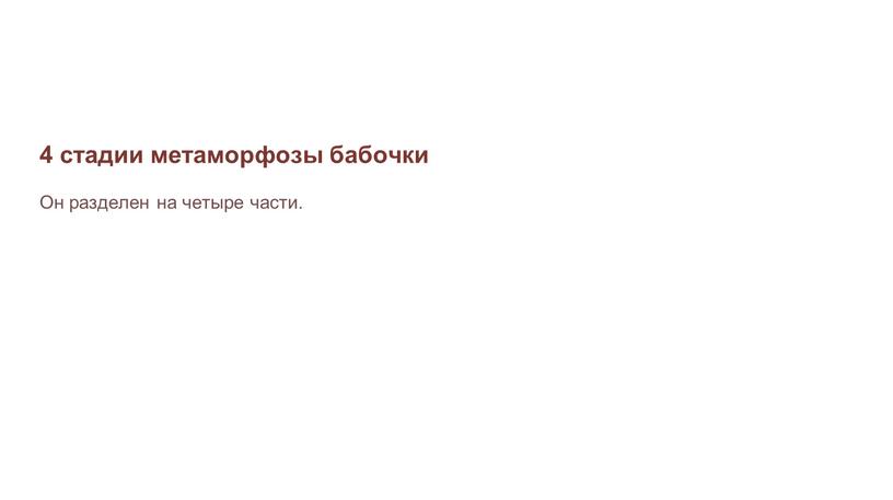 4 стадии метаморфозы бабочки Он разделен на четыре части.